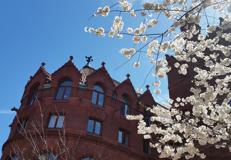 Fine Arts building exterior, apse and cherry blossoms
