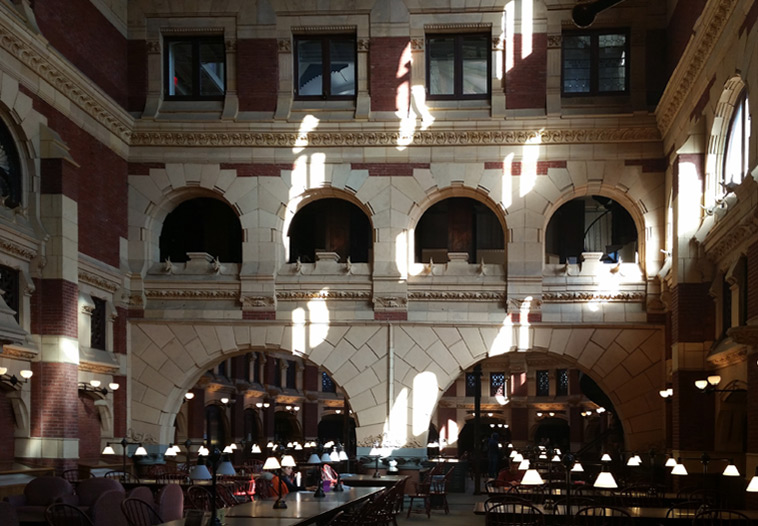 Fine Arts building, sun-dappled reading room looking south