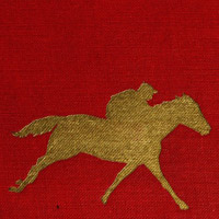 Gold-mbossed book cover with racing horse in silhouette