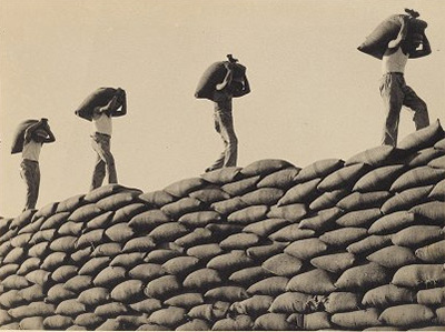 Photo of workers silhouetted against the sky, balancing wheat on their heads as they walk across a wall of bags of wheat