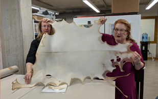 Crystal and Elizabeth with a hide-shaped sheet of translucent material