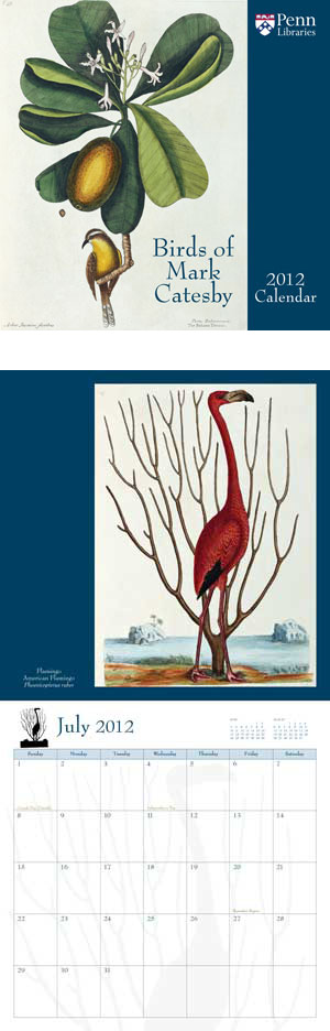Birds of Mark Catesby 2012 calendar