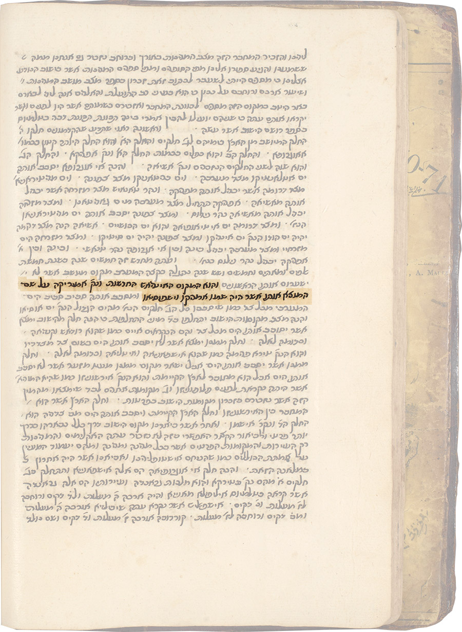 Folio 23, verso with detail highlighting the mention of Amerigo Vespucci