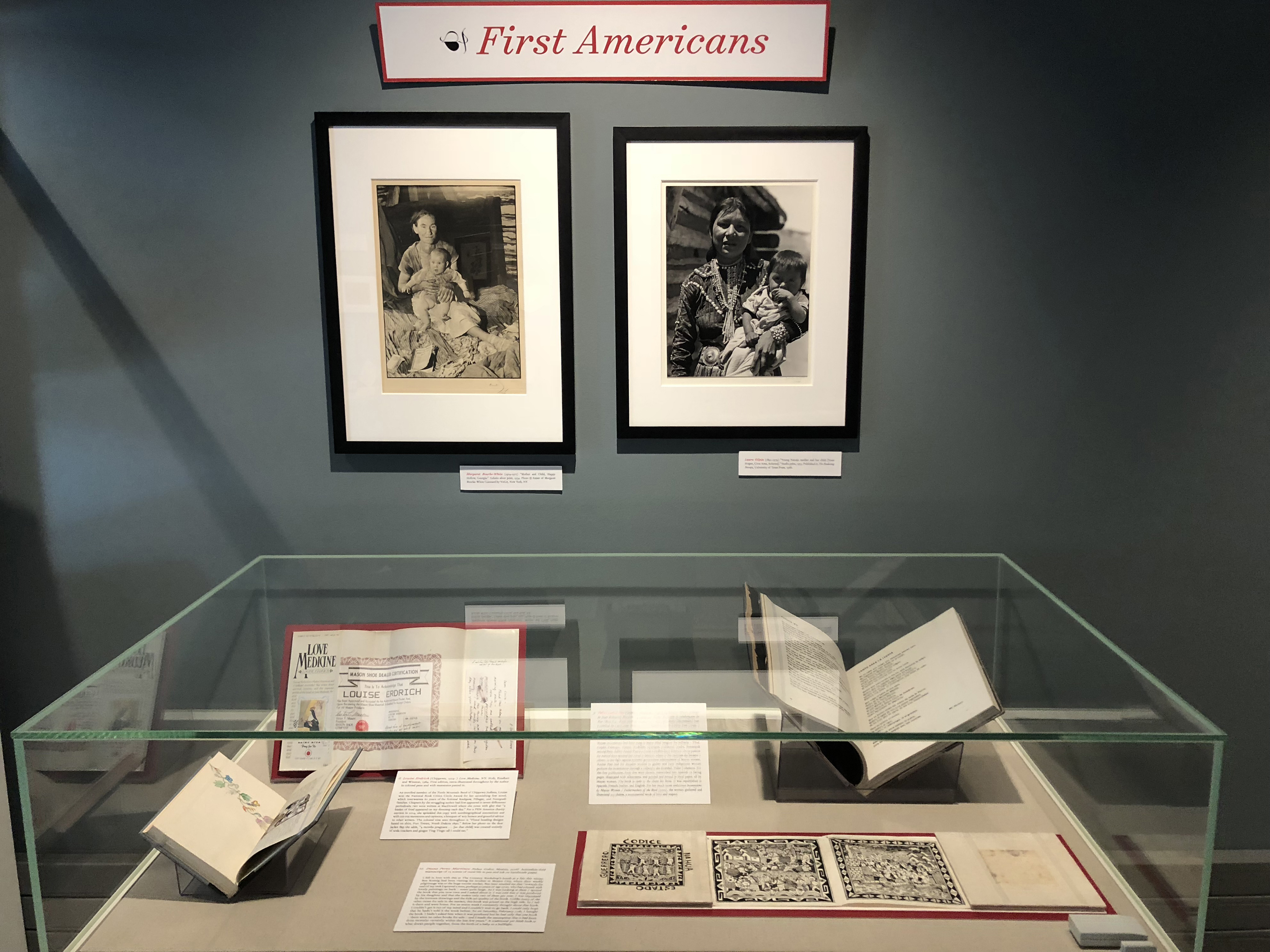 Goldstein Gallery - Case 3 - First Americans