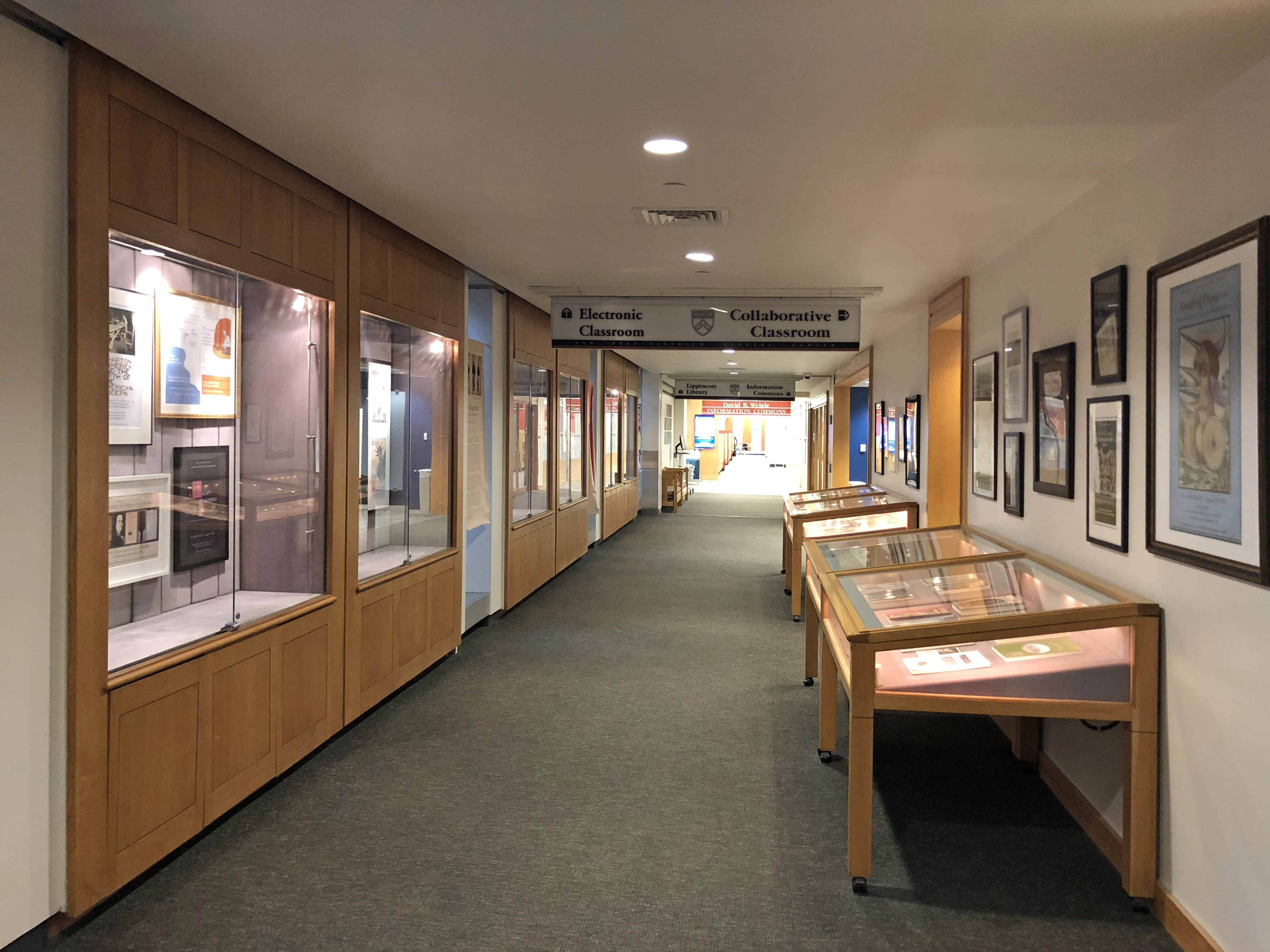 overall view of Collections on Display 