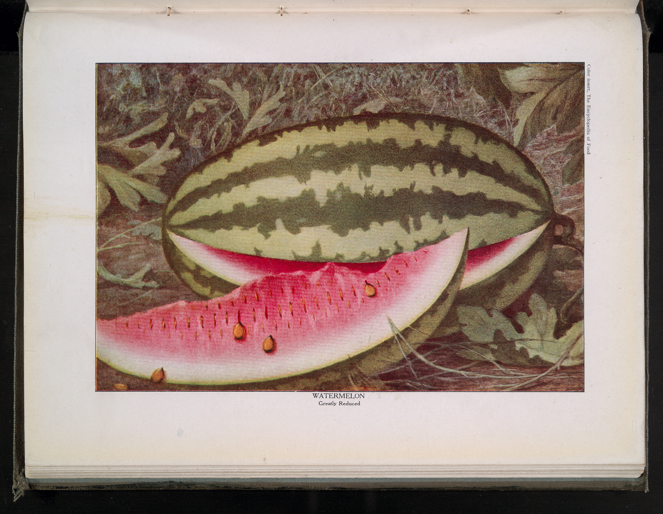 p 556, Watermelon from The Encyclopedia of Food.