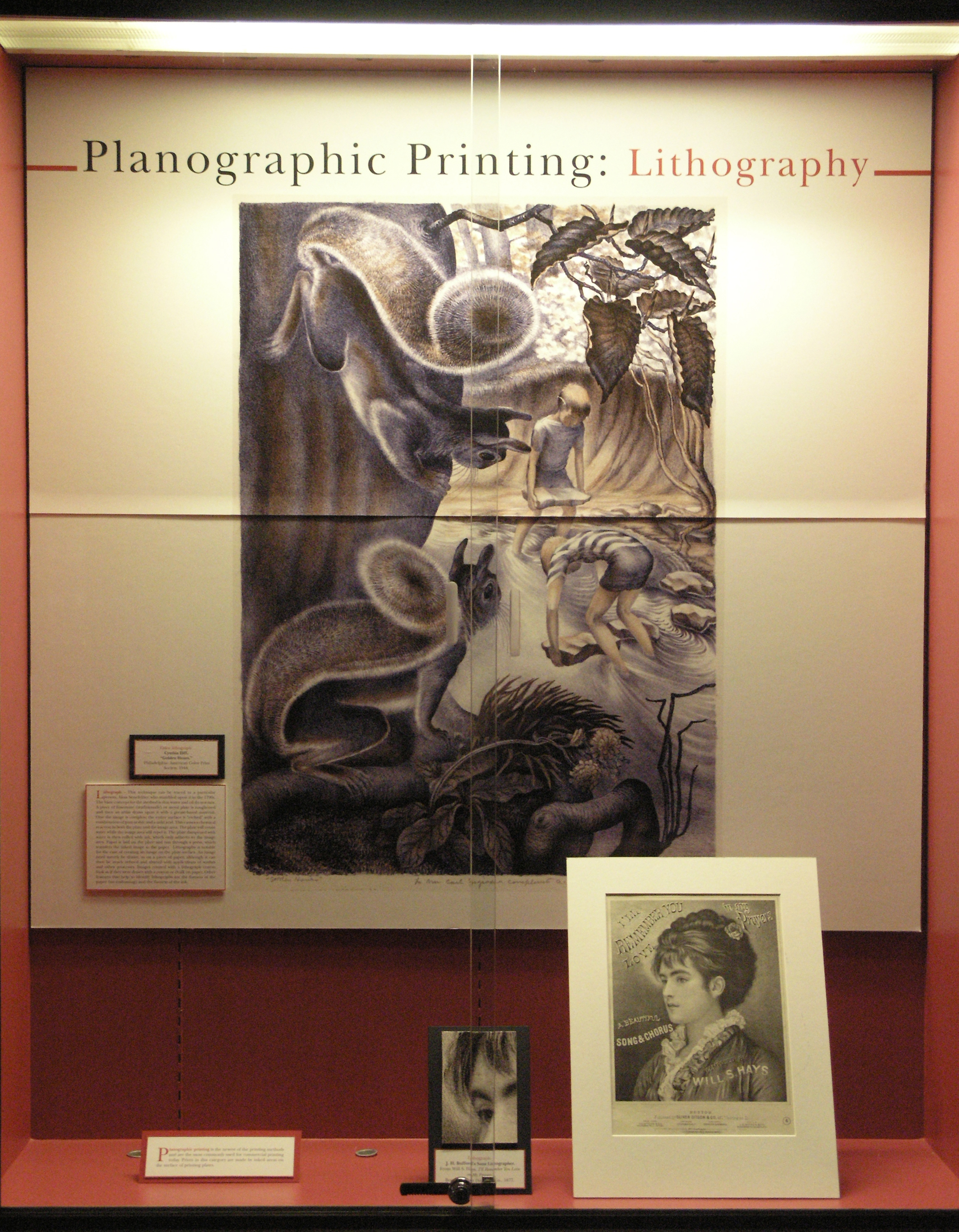 Case 9 - Planographic Printing: Lithography