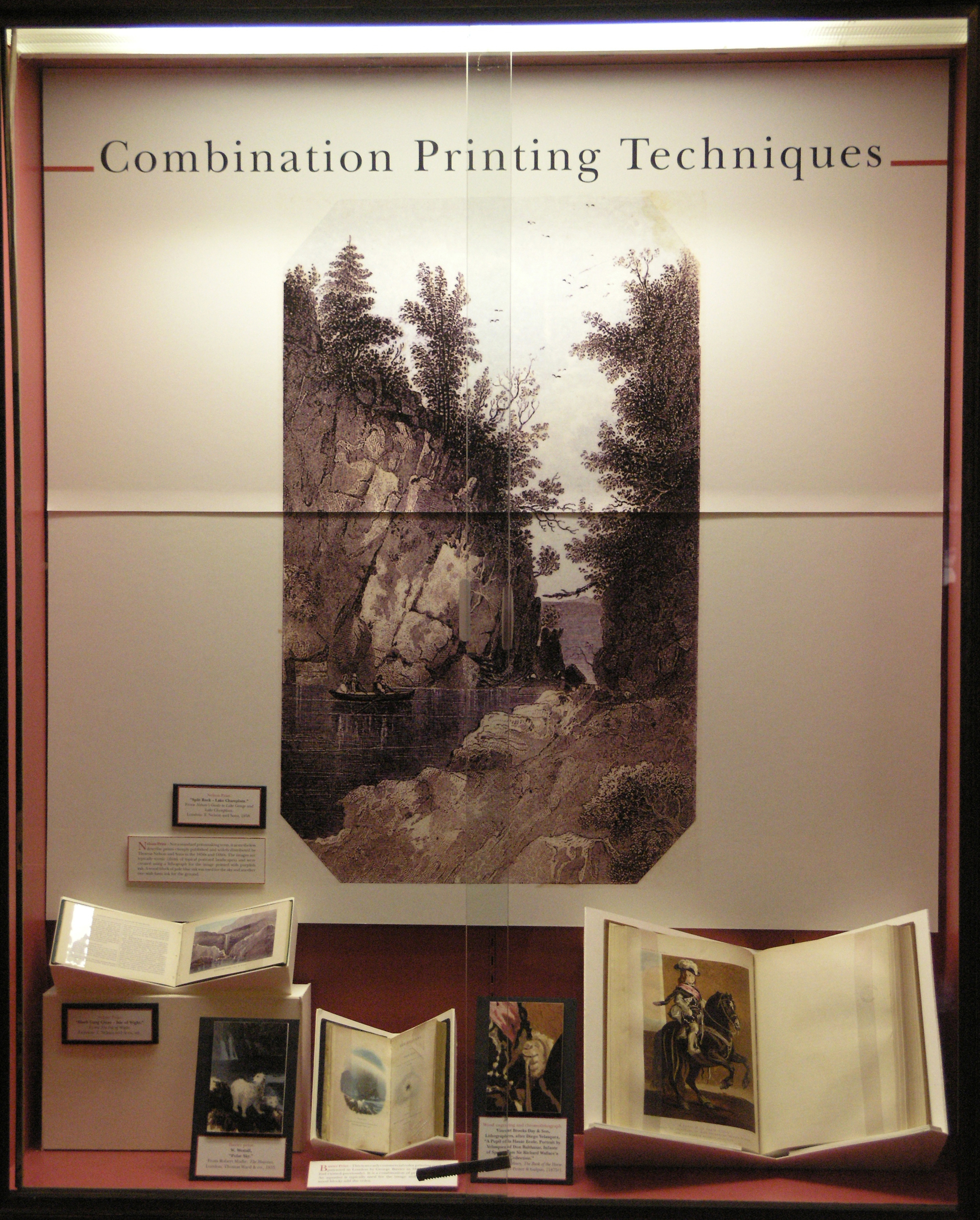 Case 11 - Combination Printing Techniques