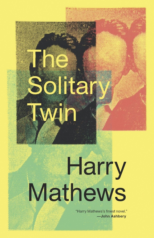 Solitary Twin book cover