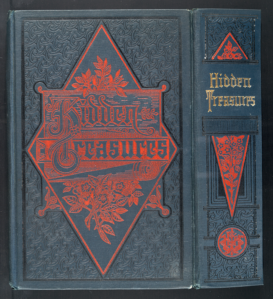 Exterior Cover of Hidden Treasures, or, why Some Succeed While Others Fail