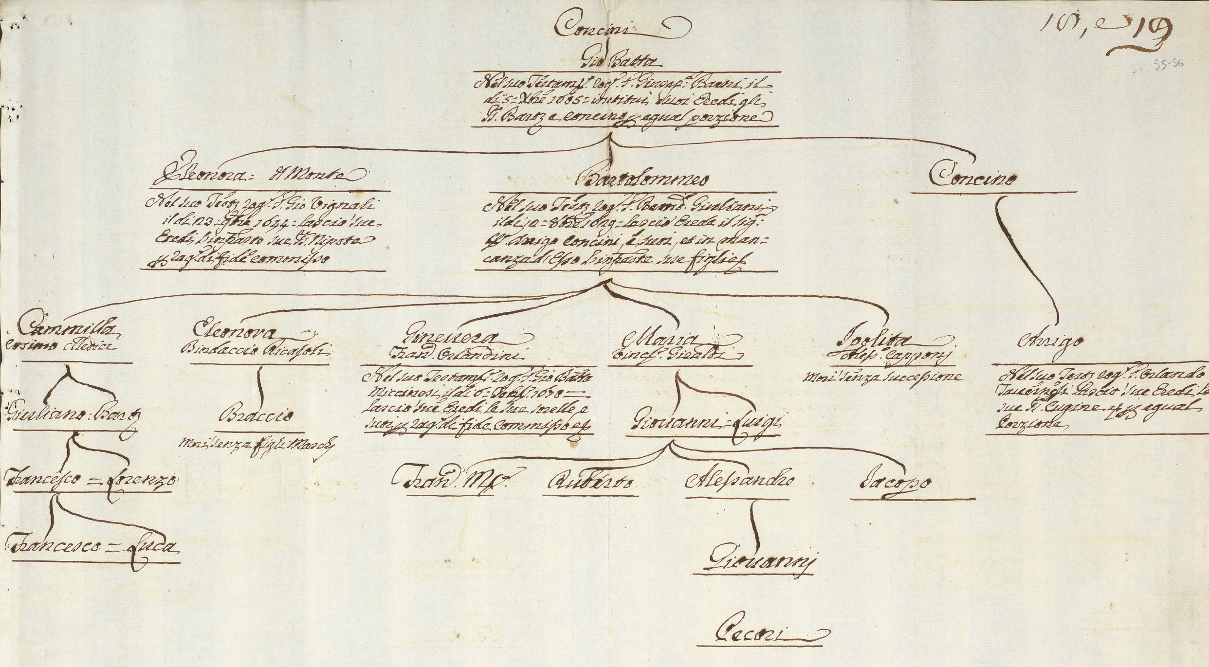 Concini Family Papers-Concini genealogy