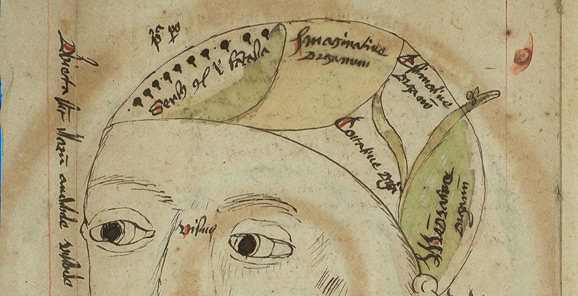 Detail: Diagram, Head with faculties and senses from De philosophia naturali