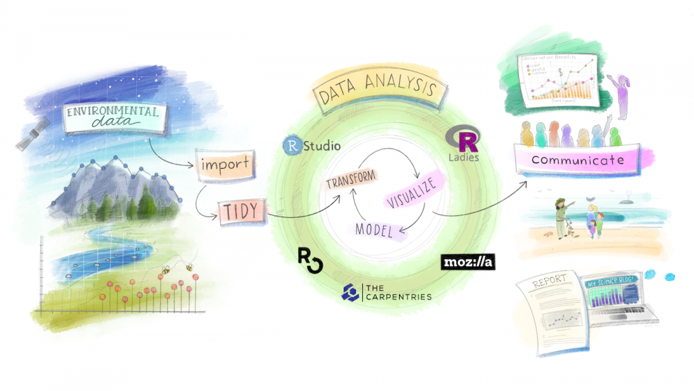Environmental Data, import using Tidy package in R, Data Analysis with R, RStudio, Transform, Visualize, Model, Carpentries, Communicate