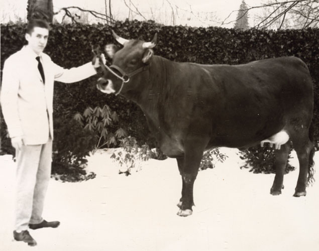 Fritz Blank with the prize-winning Brown Swiss “first calf heifer,” Flo at Delaware Valley College. Photograph. Doylestown, PA, ca. 1961.