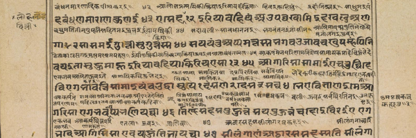 Detail from a manuscript written in Sanskrit and Gujarati.