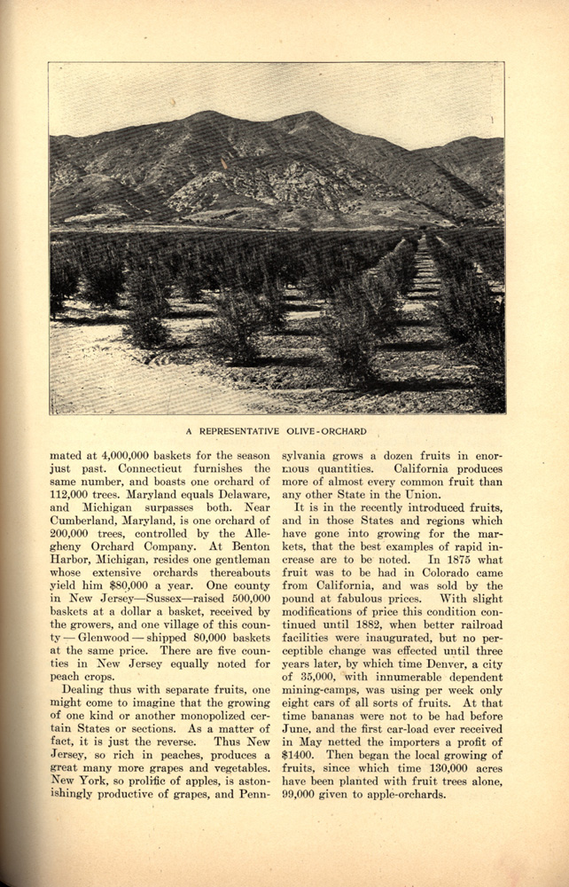 magazine interior page featuring a black and white photo representative of olive-orchard
