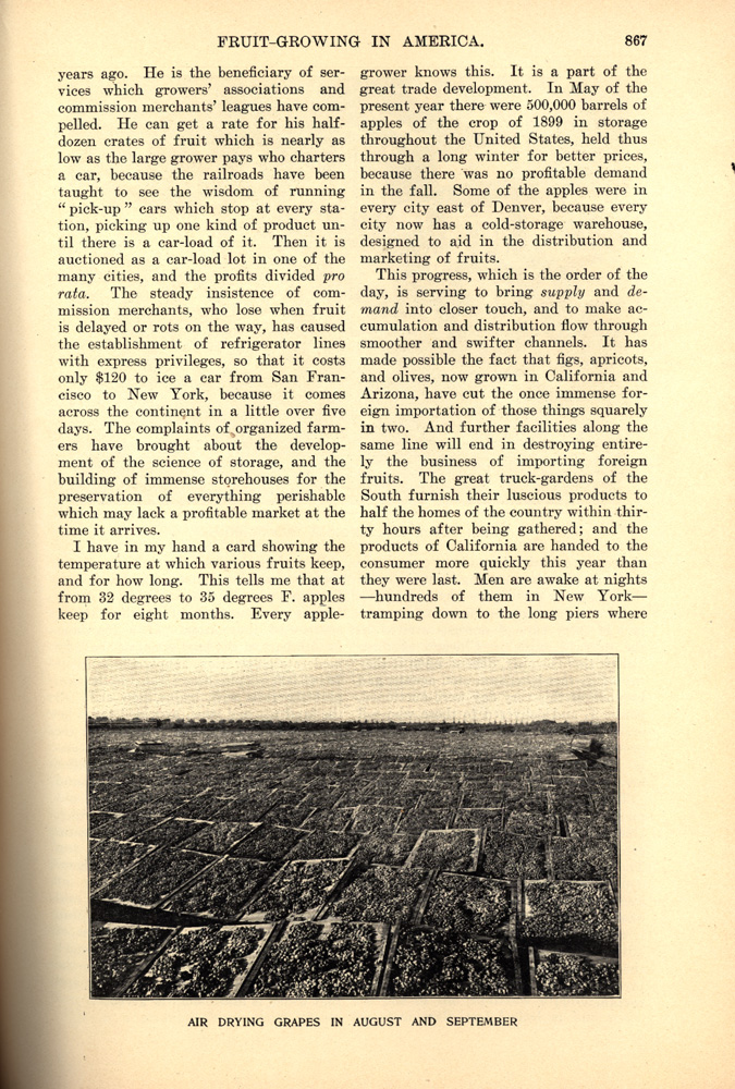 magazine interior page featuring a black and white photo of air drying grapes in august and september