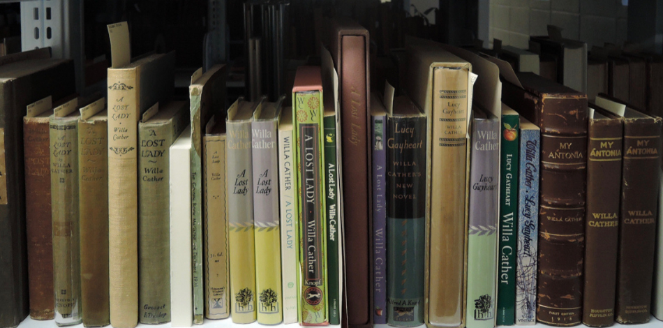A row of books on a bookshelf