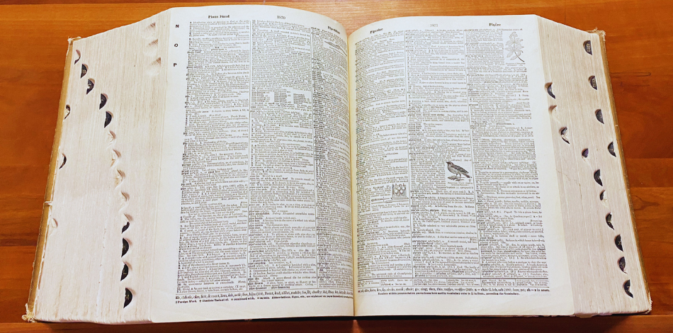 A large encyclopedia laying open on a table