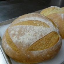 Photograph of two loaves of bread on a baking sheet (2011), courtesy of Nick Malgieri