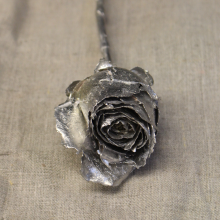 Lifecast of a rose